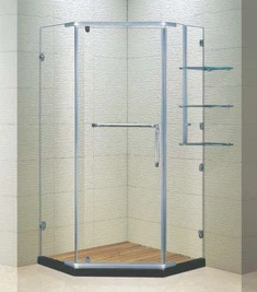 Pentagonal Pivot Frameless dusch stall