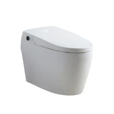 Avancerad smart toalett